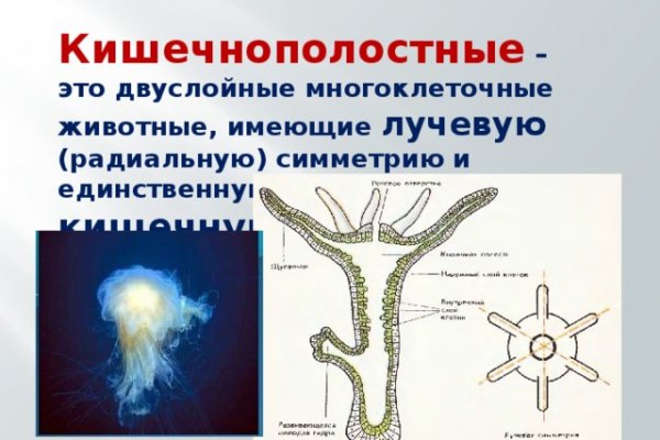 Кракен ссылка тупа германия