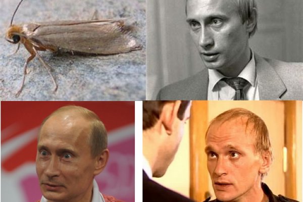 Кракен не грузит