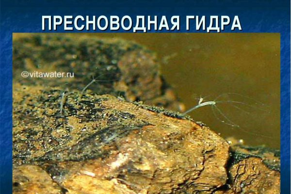 Как зарегаться на кракене