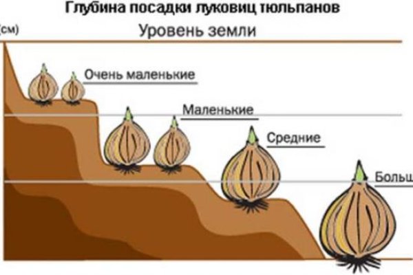 Магазин наркоты