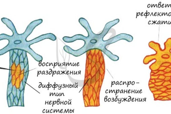 Ссылка на кракен через тор