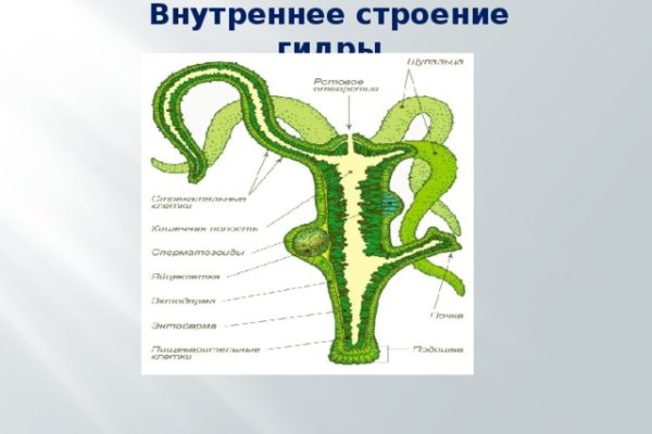 Kra39.cc