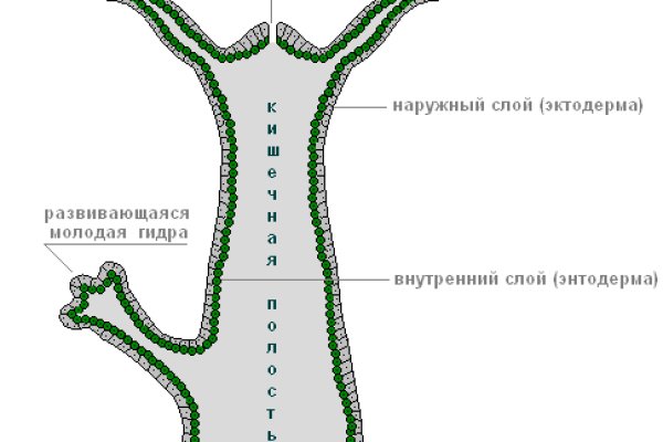 Ссылки кракен телеграф