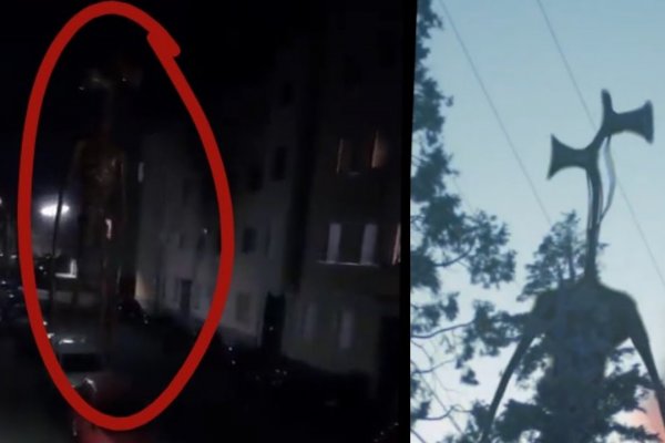 Найти зеркало кракена
