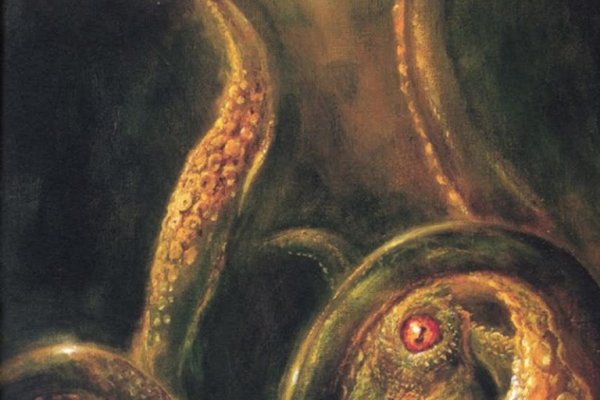 Kraken kraken link24 info