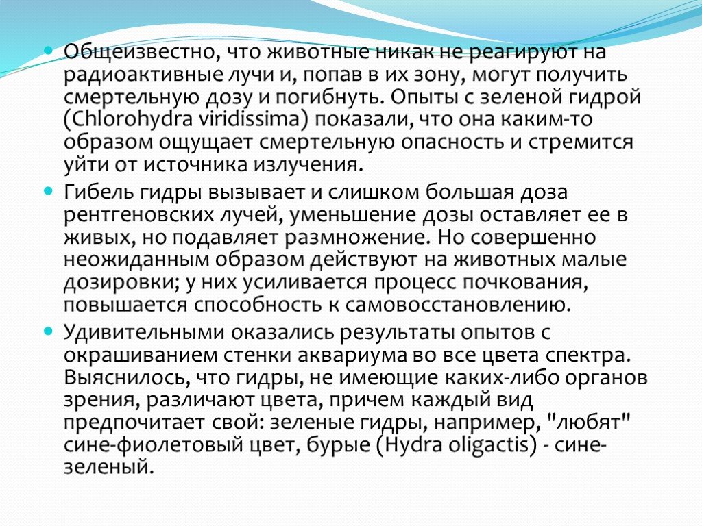 Кракен магазин даркнет